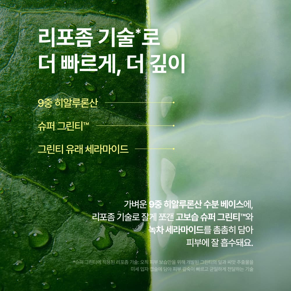 이니스프리 그린티 세라마이드 밀크 에센스 160ml 기획 - view 5