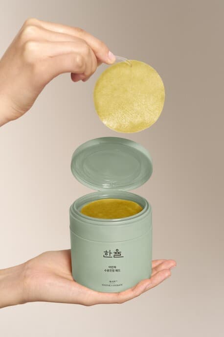 한율 어린쑥 5분 트러블진정패드 60+10매 - view 3