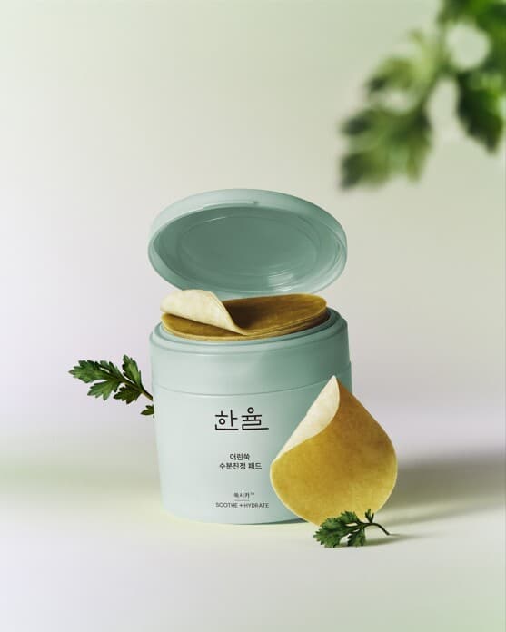 한율 어린쑥 5분 트러블진정패드 60+10매 - view 2